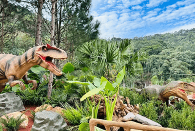 Logistique 2025 em Balneário Camboriú