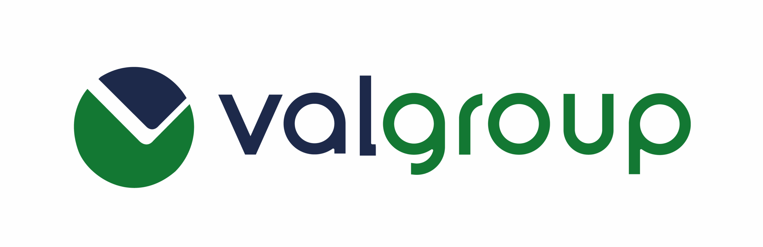 LOGO VALGROUP - Gi Marcilio (1)